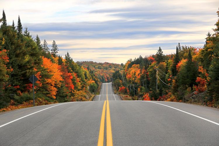 Traversée du parc provincial Algonquin