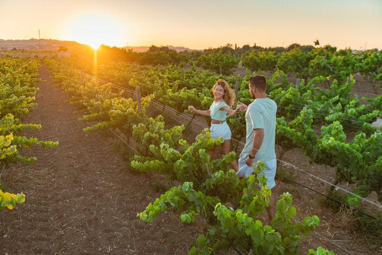 Un couple se balade dans les vignes maltaises © Malta Tourism Authority
