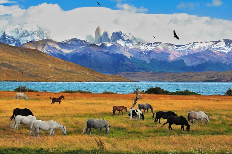 Un paysage rural du Chili
