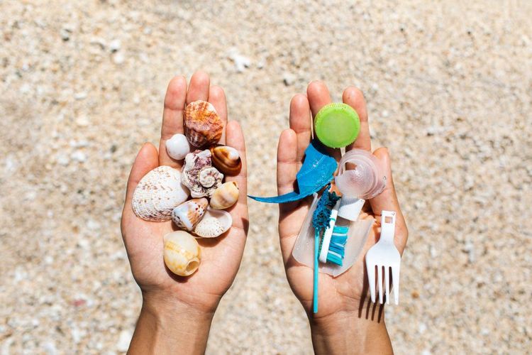 Un poignée de déchet et une de coquillages