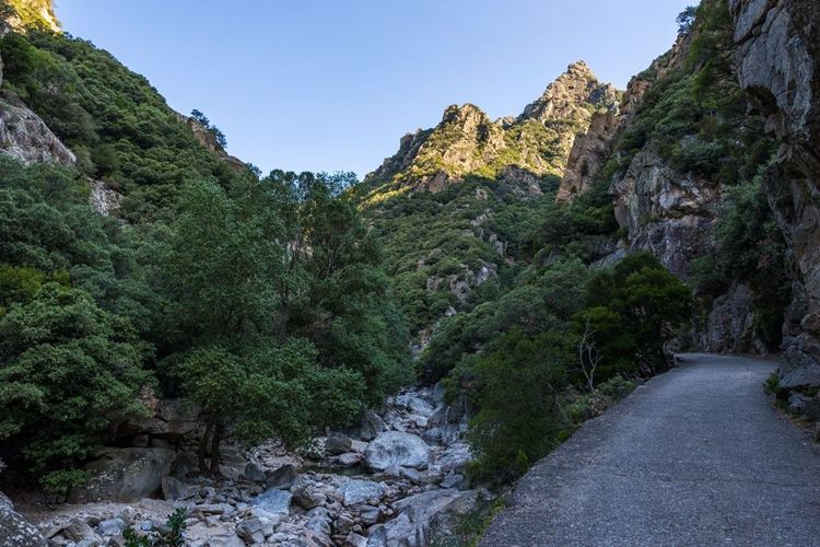 Un sentier de randonnée au milieu des Gorges de l'Hérault