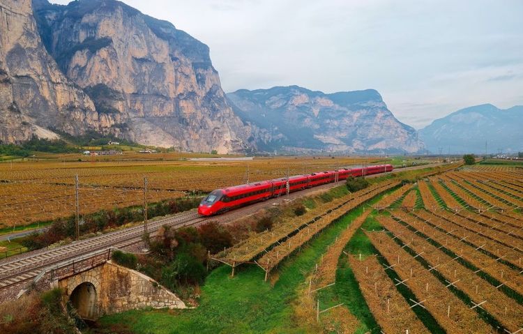Un train traversant un champs de vignes en Italie