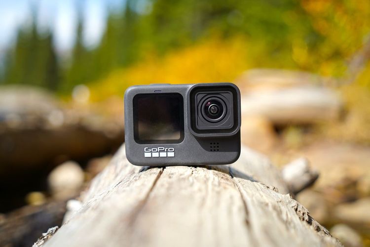 Une GoPro posée sur un tronc d'arbre