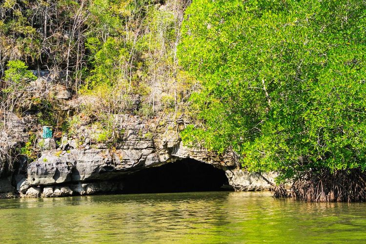 Une mangrove à Langkawi avec en toile de fond une mystérieuse grotte, Malaisie