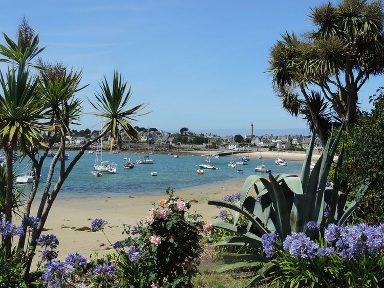 Végétation et vue sur le port de l'île de Batz