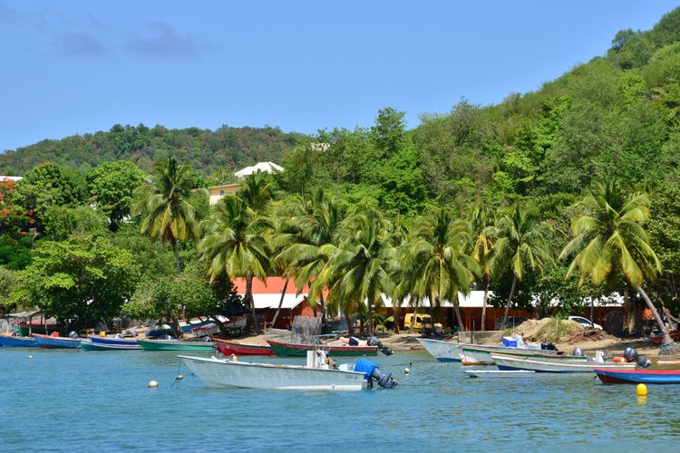 Village de Tartane, Martinique