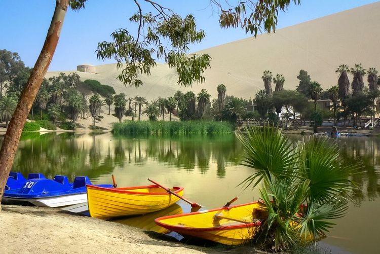 Vue de près de l'oasis du village Huacachina au Pérou
