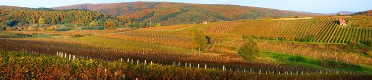 Vue panoramique de la région rurale de la Slovanie