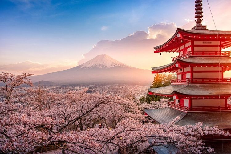 Vue sur le Mont Fuji depuis le Chureito Pagoda