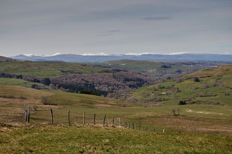 Vue sur les montagnes du Cézallier