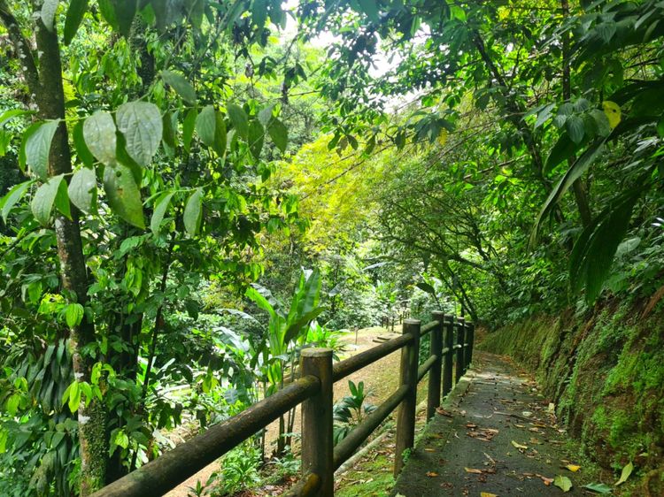 Sentier du domaine d'Emeraude