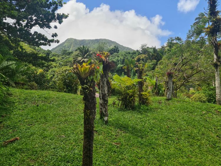 Le domaine d'Emeraude