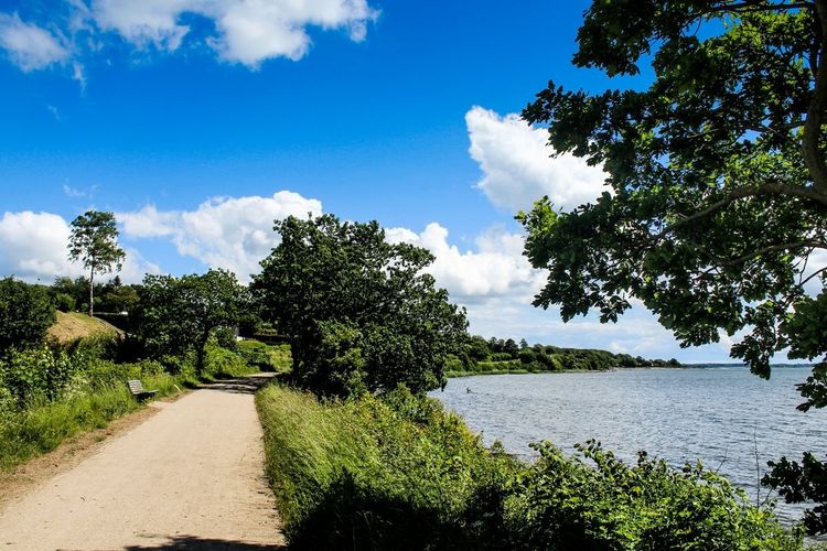 Un chemin le long du fjord d'Horsens 