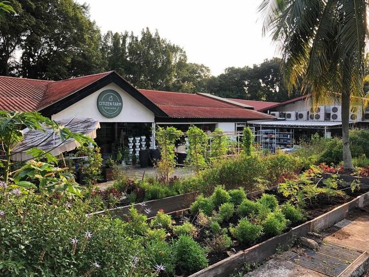 Edible Garden - @Office de tourisme de Singapour
