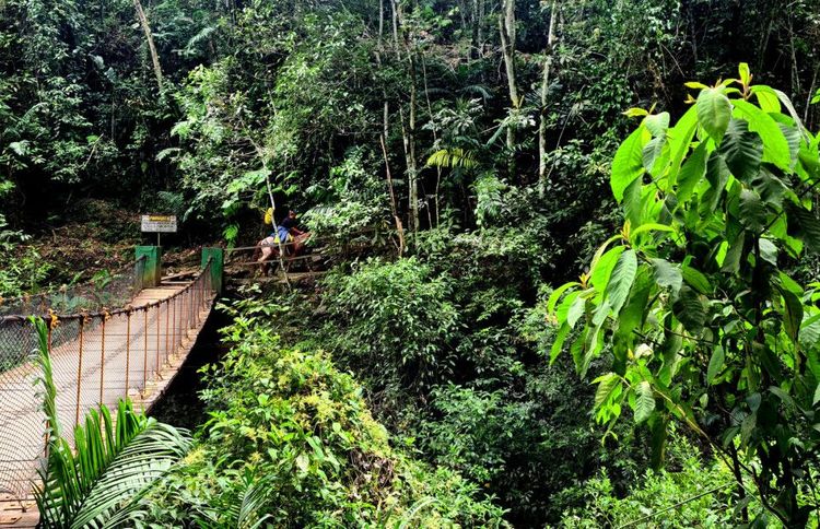 The Gocta waterfall in Peru