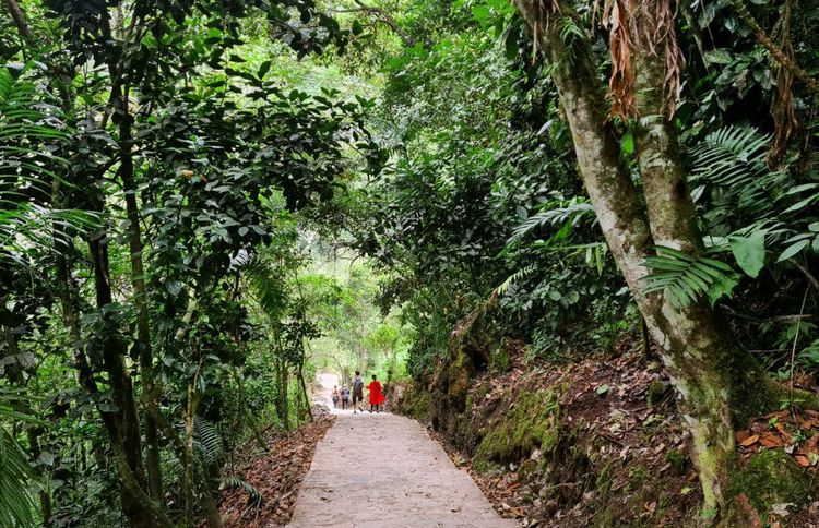 The path to the Gocta waterfall