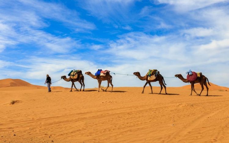 Le Sahara au Maroc