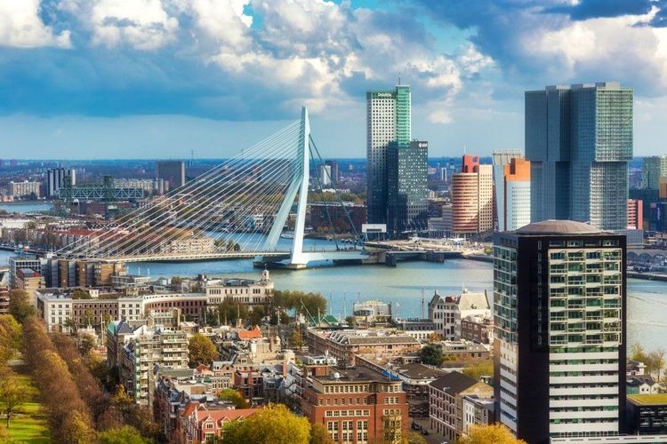 Le pont Érasme (Erasmusbrug), un emblème de Rotterdam