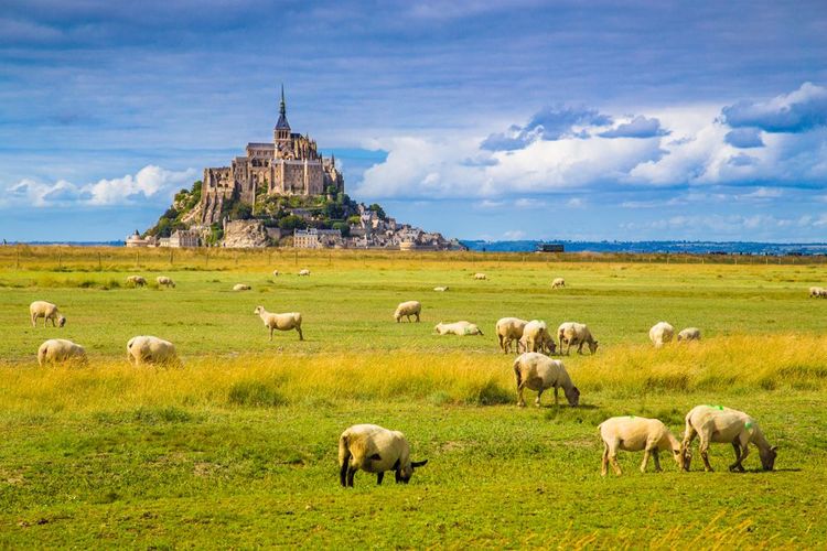 Le Mont Saint-Michel, entre bocages normands et la mer de la Manche