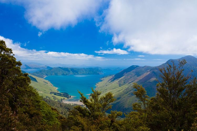 La baie de Cook