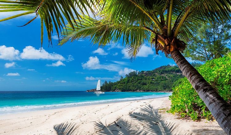 Plage de rêve de la Jamaïque