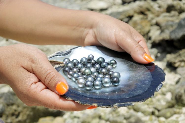 Les perles polynésiennes ont cet aspect acier.