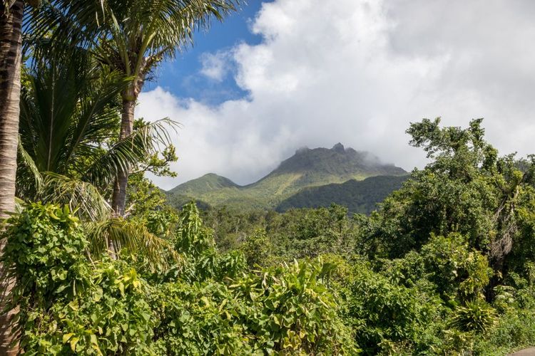 Parc National de la Guadeloupe