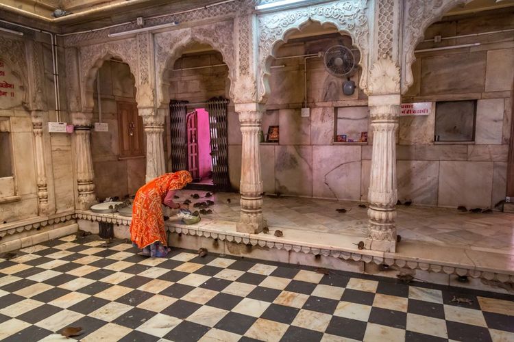 Le temple de Karni Mata en Inde