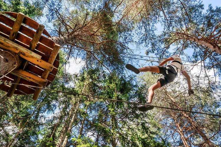 Accrobranche dans la forêt des Landes