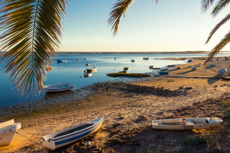 L'humain vit en harmonie avec la Ria Formosa qui lui apporte tant