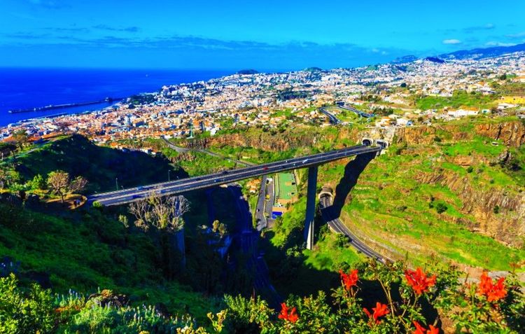 Émerveillement en parapente à travers le ciel de Funchal