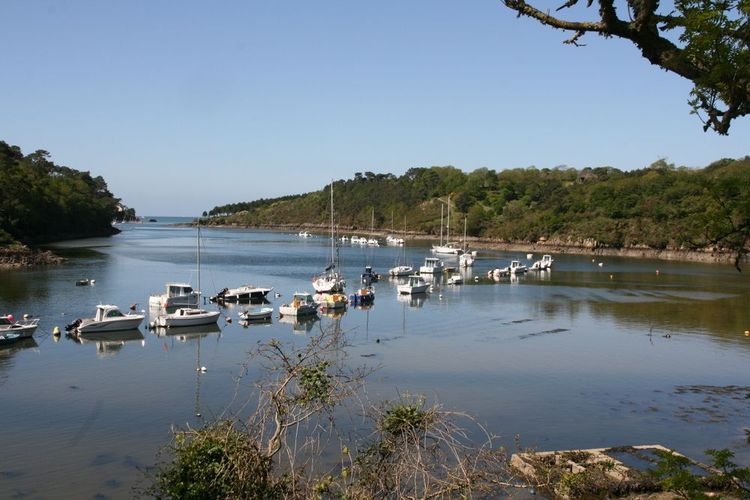 Le port du Bélon