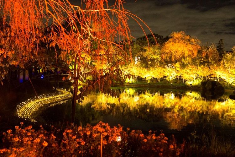 Jeu de lumières particulièrement intimiste dans le parc, en soirée