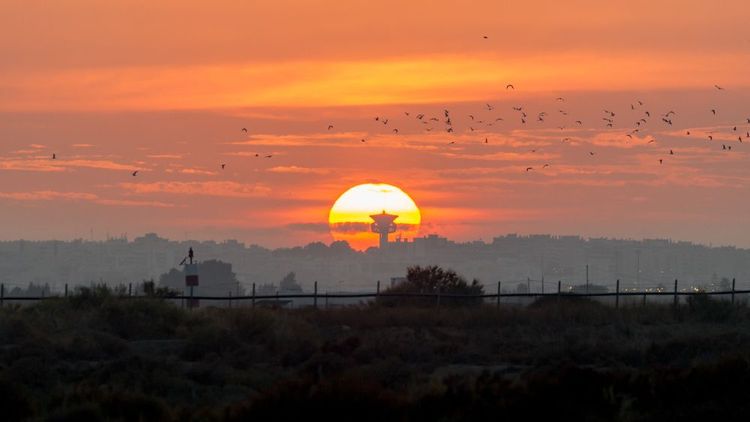 Le soleil se couche sur Ria Formosa