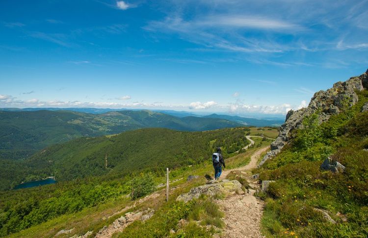 Un sentier dans les montagnes basses des Vosges