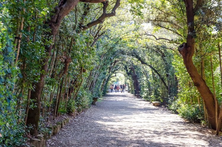 Un vicolo del Giardino di Boboli