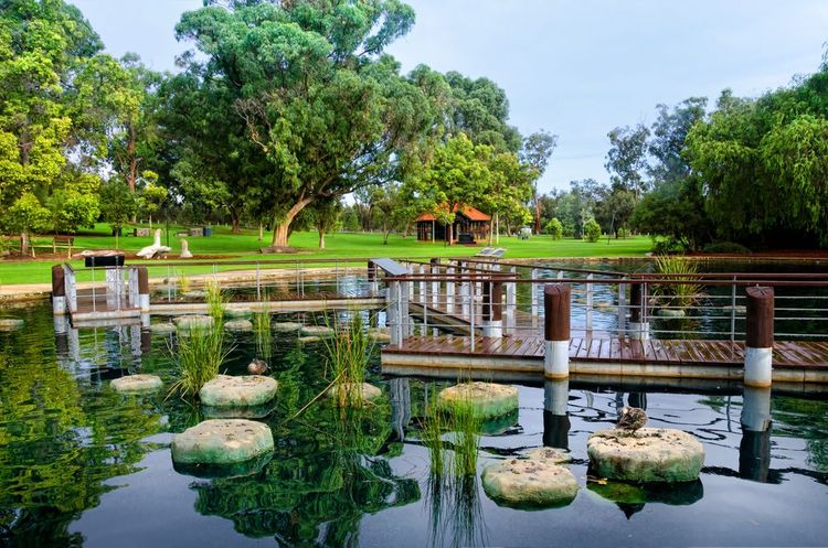Le jardin botanique occupe environ 17 hectares au sein de Kings Park,