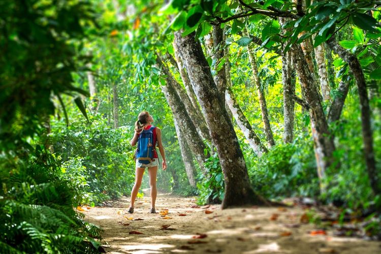 Randonnée dans le parc Cahuita