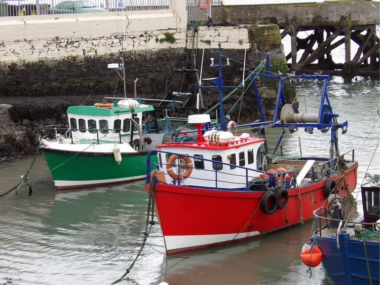 Chalutiers entrant dans le port de Cork