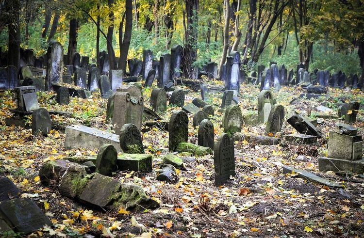 Le coimetière Juif de la rue Okopowa, au cœur de Varsovie