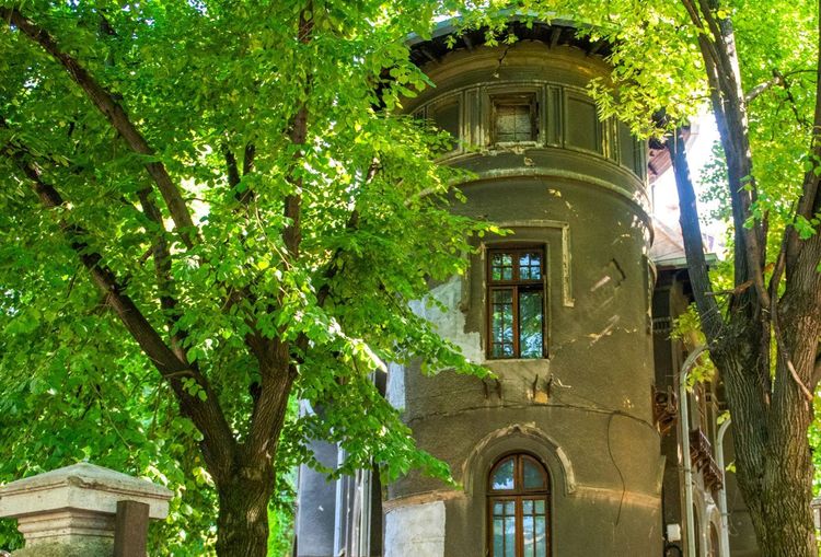 Les arbres ont la part eblle dans le quartier Cotroceni