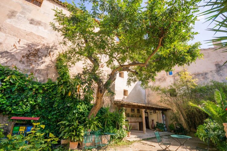 Le jardin des Bains Arabes, Palma de Majorque