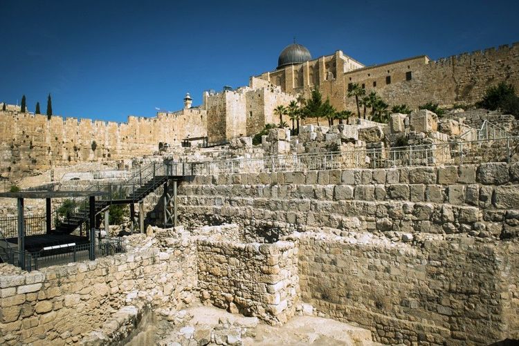 Les ruines se répandent en espaliers