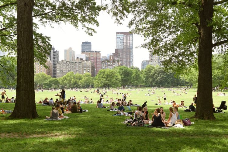 Central Park, New York