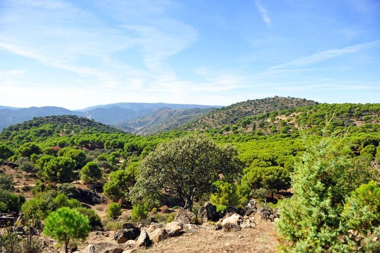 La Sierra de Monera, Andalousie, Espagne