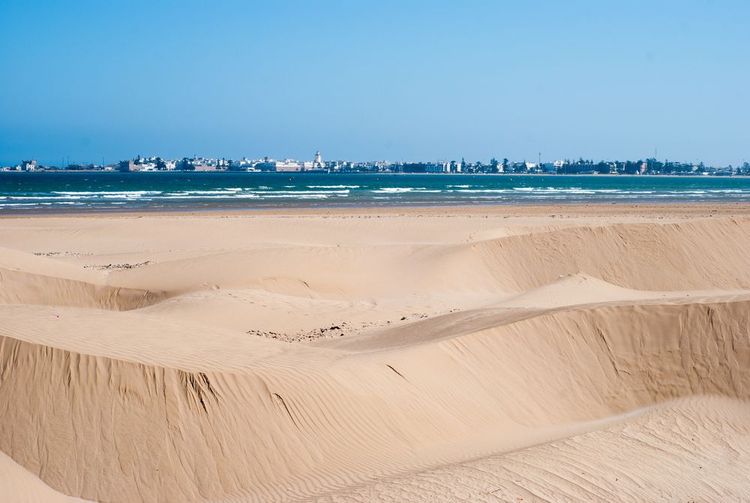 Les dunes derrière la plage d'Essaouira