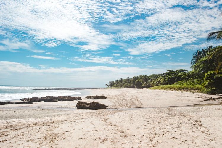 Vegan cuisine and yoga on the heavenly beaches of Montezuma