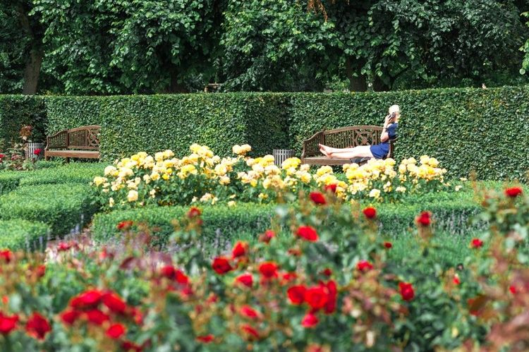 Détente dans l'un des jardins de Copenhague