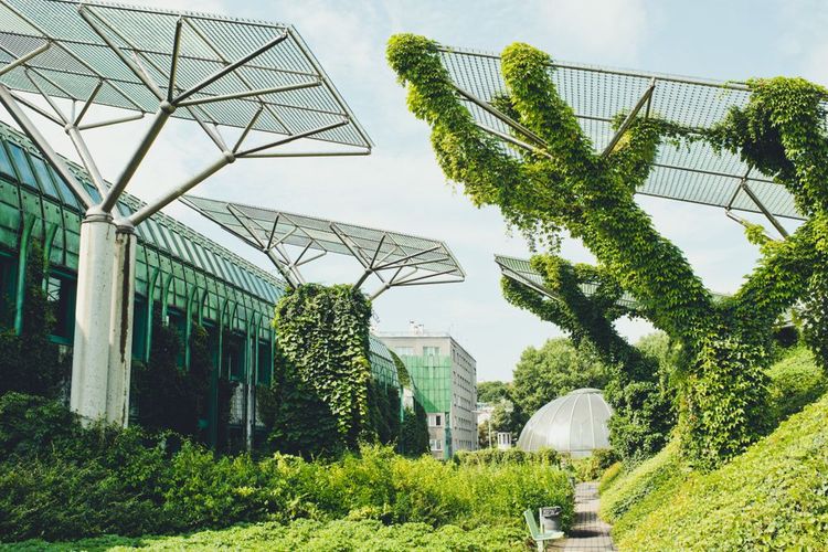 A Varsovie, découvrez l'un des plus grands jardins au monde installé sur un toit !