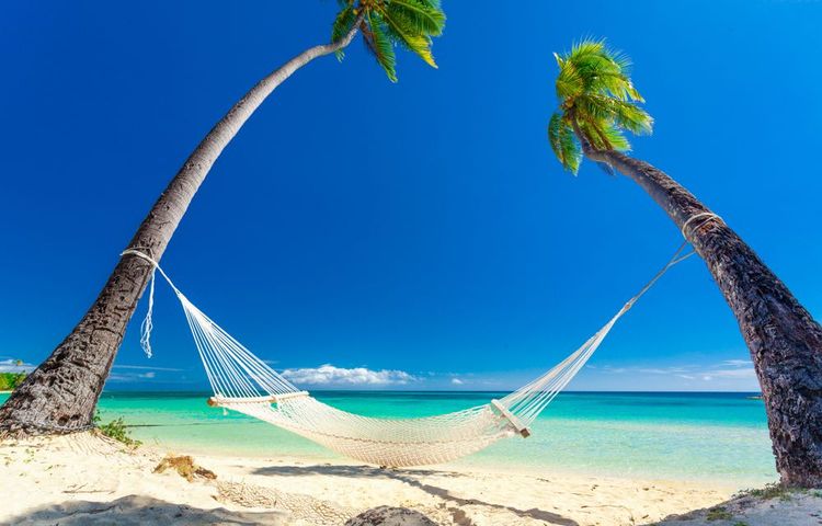 Hamac vide à l'ombre des palmiers sur les îles tropicales de Fidji